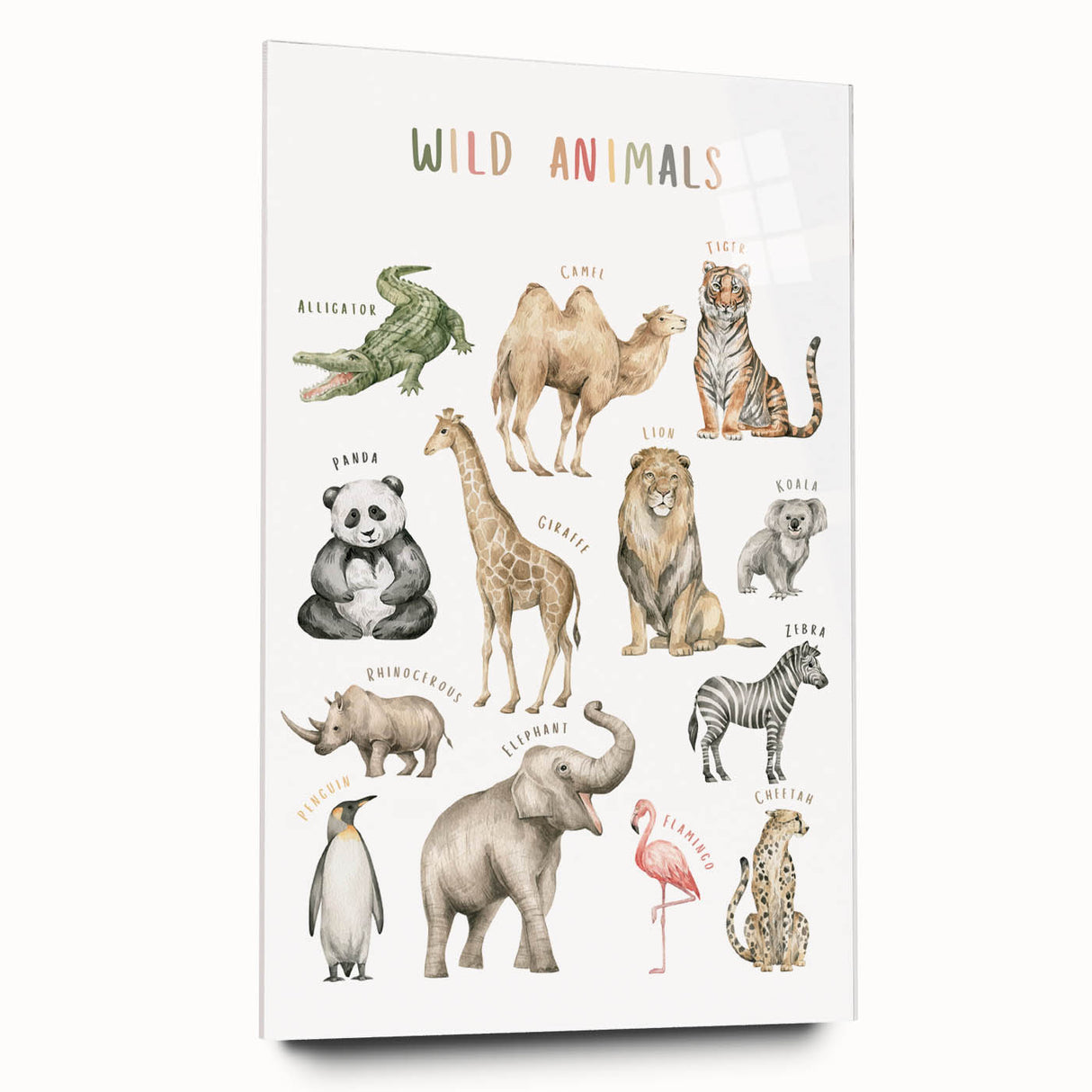 Wild Animals Kids Educational Wall Art - Learning Poster for Classrooms