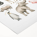 Wild Animals Kids Educational Wall Art - Learning Poster for Classrooms