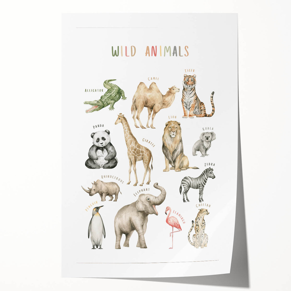Wild Animals Kids Educational Wall Art - Learning Poster for Classrooms