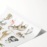 Wild Animals Kids Educational Wall Art - Learning Poster for Classrooms
