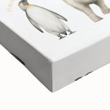 Wild Animals Kids Educational Wall Art - Learning Poster for Classrooms