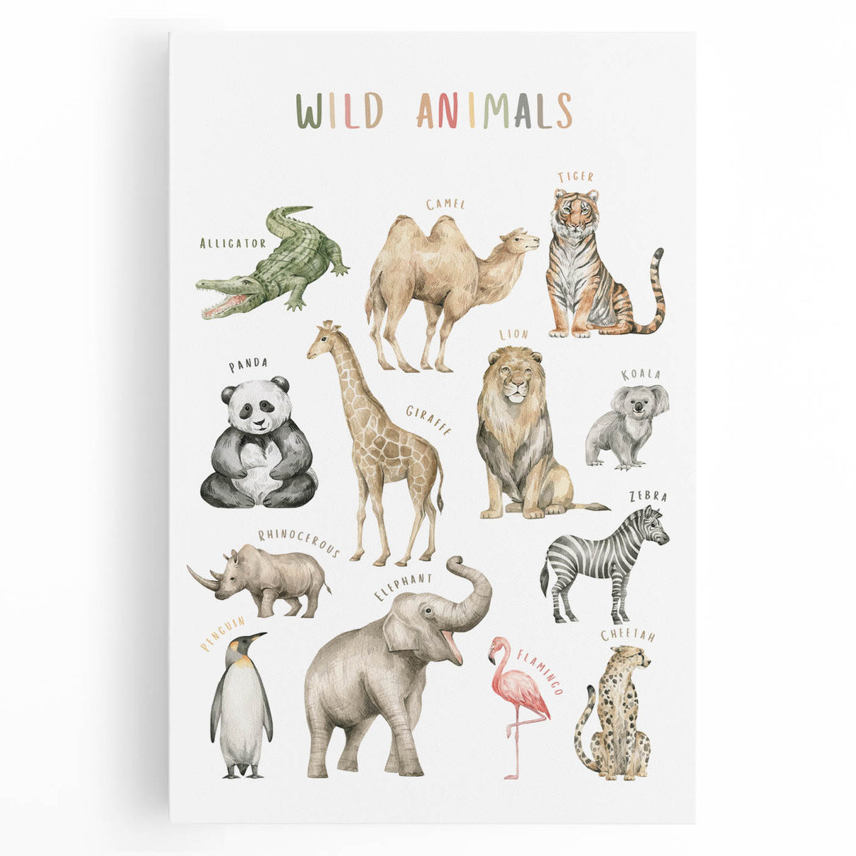 Wild Animals Kids Educational Wall Art - Learning Poster for Classrooms