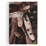 Large black and white abstract depiction of fall trees on stretched canvas, suitable for kitchen wall art.