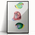 Famous Romantic Era Art - Australian Bird Heads Illustration Canvas Print