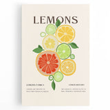 Large black and white stretched canvas featuring an assortment of fruits and vegetables, ideal for kitchen wall art.