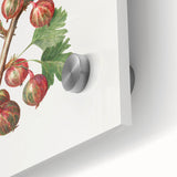 Close-up of large abstract wall art featuring assorted fruits in vibrant colors on acrylic glass.