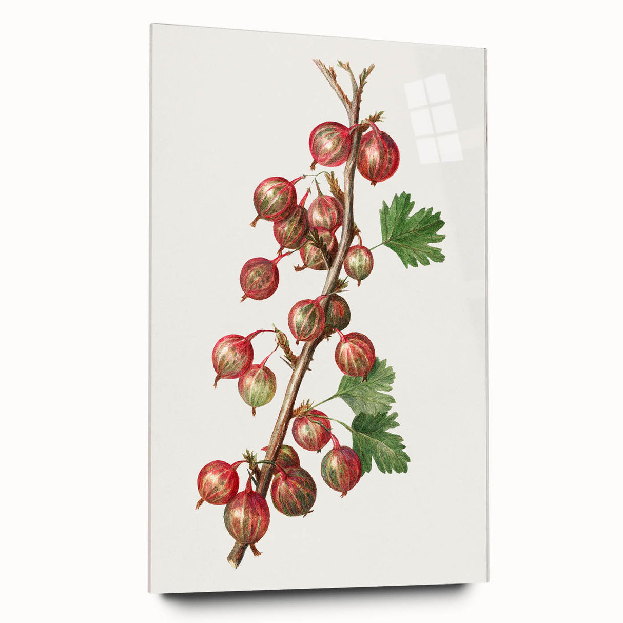 Large abstract wall art featuring assorted fruits in bright, vivid colors on acrylic glass.
