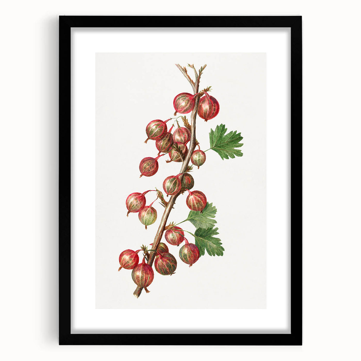 Extra large abstract art print featuring vibrant, colorful fruits on textured canvas, framed with a black mat.