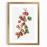 Extra large abstract art print featuring textured fruits in muted colors, framed in gold, ideal for living room decor.