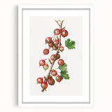 Abstract art print featuring assorted fruits in vibrant colors on a white framed mat, ideal for dining room decor.