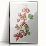 Large art print of assorted fruits in vibrant colors on a framed acrylic, mid-century modernist style.