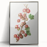 Mid-century modernist art featuring an array of colorful fruits on a silver-framed acrylic print.