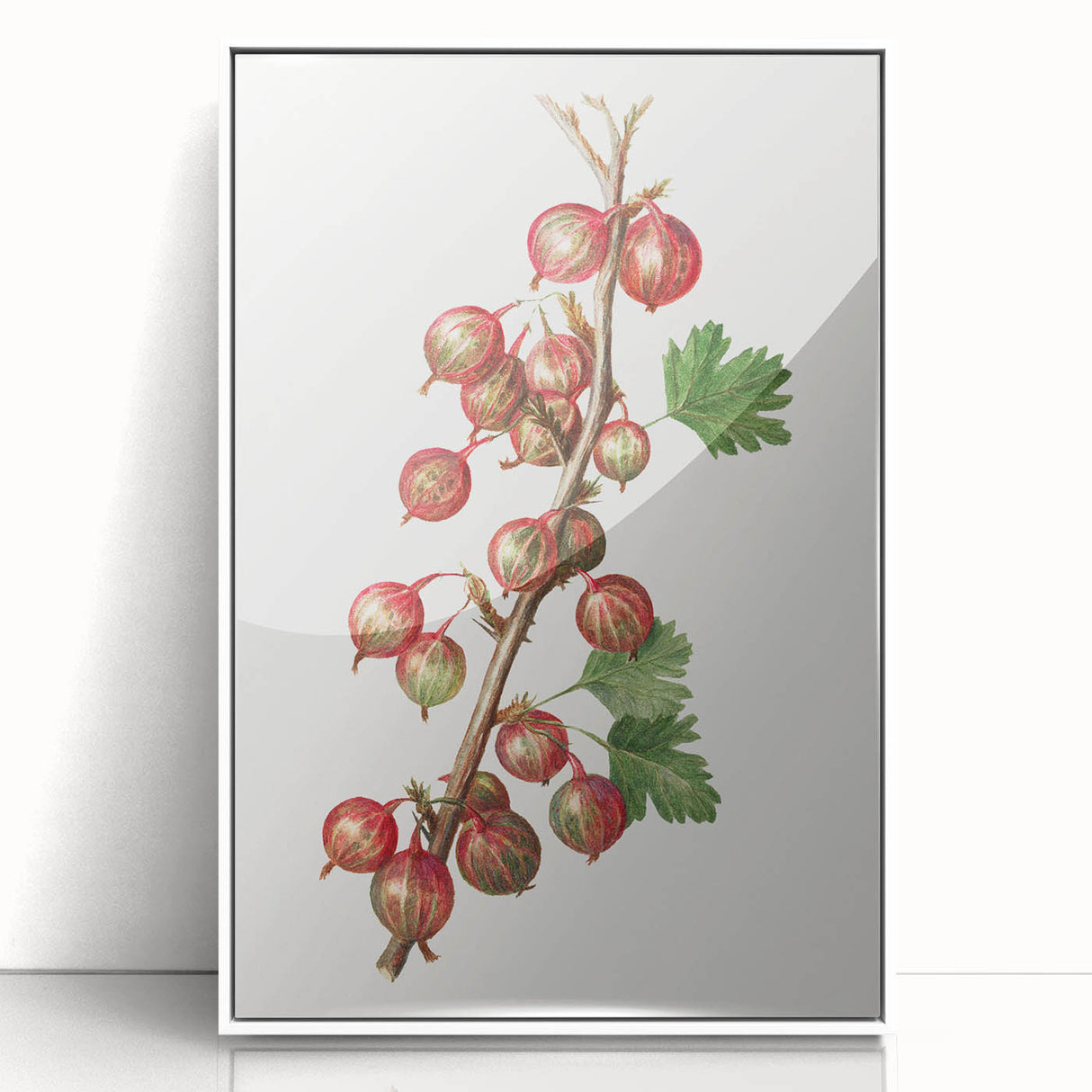 Art deco poster of assorted fruits in vibrant colors on a white acrylic frame, ideal for modern kitchen decor.