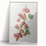 Art deco poster of assorted fruits in vibrant colors on a white acrylic frame, ideal for modern kitchen decor.