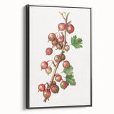 Black and white framed canvas featuring a vintage poster art style landscape with assorted fruits.