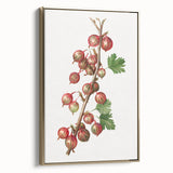 Framed canvas featuring a vintage poster of assorted fruits in muted colors, ideal for bedroom wall art.