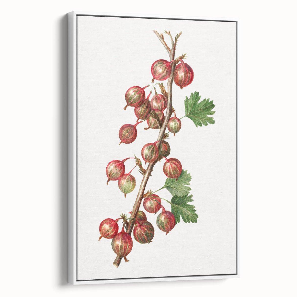 Vintage poster art of colorful fruits on a black background, framed canvas, ideal for living room decor.