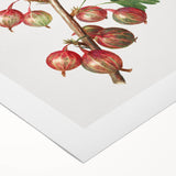 Art deco poster of assorted fruits in vibrant colors on rolled canvas, suitable for dining room wall art.