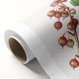 Art Deco style poster featuring an array of colorful fruits on a rolled canvas.