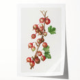 Rolled canvas print featuring an array of colorful fruits, ideal for art wall dining room decor.