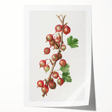 Rolled canvas print featuring an array of colorful fruits, ideal for art wall dining room decor.