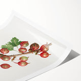 Extra large wall art featuring line art flowers in black on white, rolled print format, suitable for large living room decor.