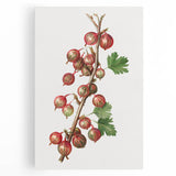 Black and white wall art on stretched canvas featuring assorted fruits, ideal for kitchen decor.