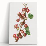 Black and white photograph of assorted fruits on stretched canvas, ideal for kitchen wall art.