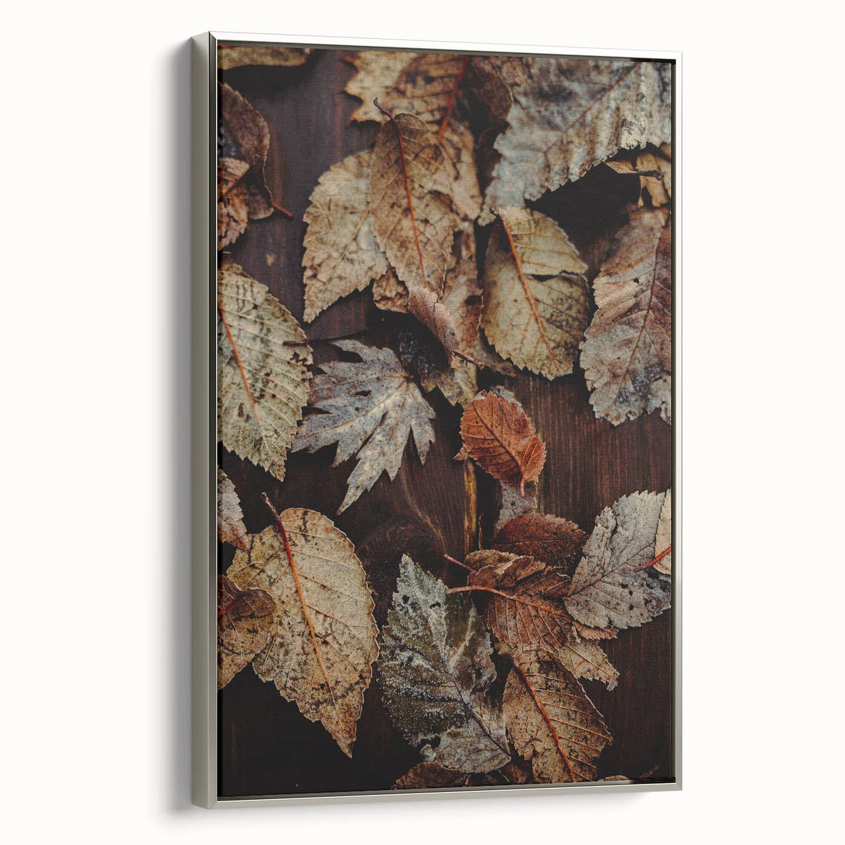 Framed canvas featuring a vintage-style landscape painting with colorful autumn trees and a muted black background.