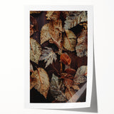 Extra large rolled canvas print featuring a detailed fall floral scene in warm orange and brown tones.
