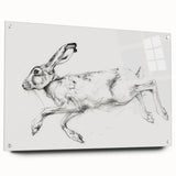 Acrylic glass animal design side view displaying colorful illustrations of various wildlife, mounted with pins on a sleek, modern display for artistic decor.
