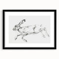 Black-framed animal-themed artwork featuring a mat, showcasing a captivating design of various wildlife in vibrant colors, perfect for home decor accents.
