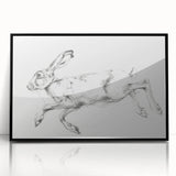 Framed acrylic artwork showcasing a detailed black and white animal design, featuring intricate line work and a modern aesthetic, perfect for home decor enhancement.