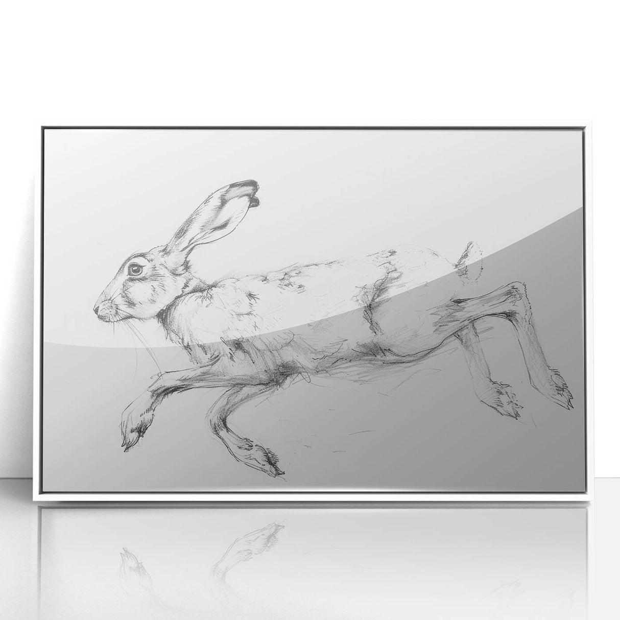 Framed acrylic artwork showcasing a vibrant animal design with intricate details, set against a clean white background, perfect for modern home decor.