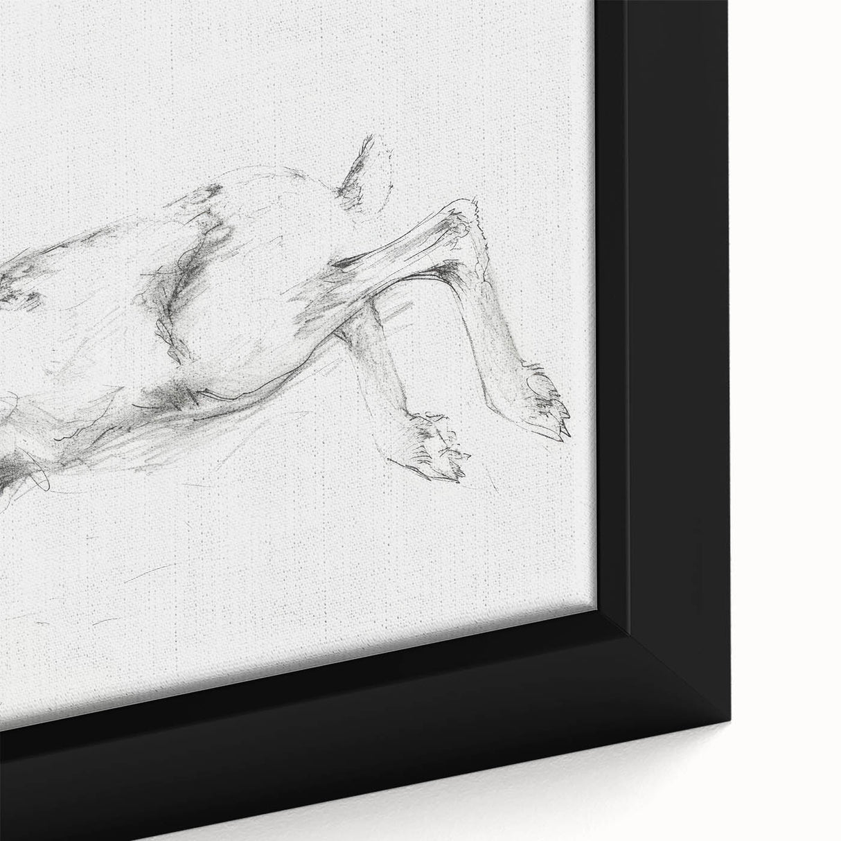 Close-up view of a framed canvas art piece showcasing vibrant animal illustrations with intricate details, perfect for home decor enthusiasts and wildlife lovers.