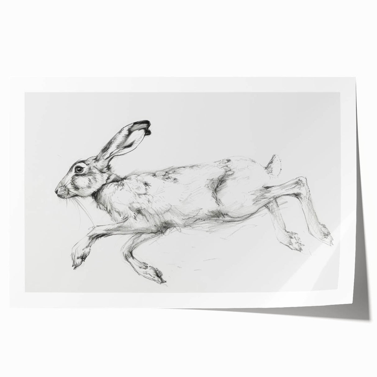 Rolled canvas print showcasing a vibrant animal-themed design with intricate details, featuring bold colors and patterns, securely packaged in a protective tube.