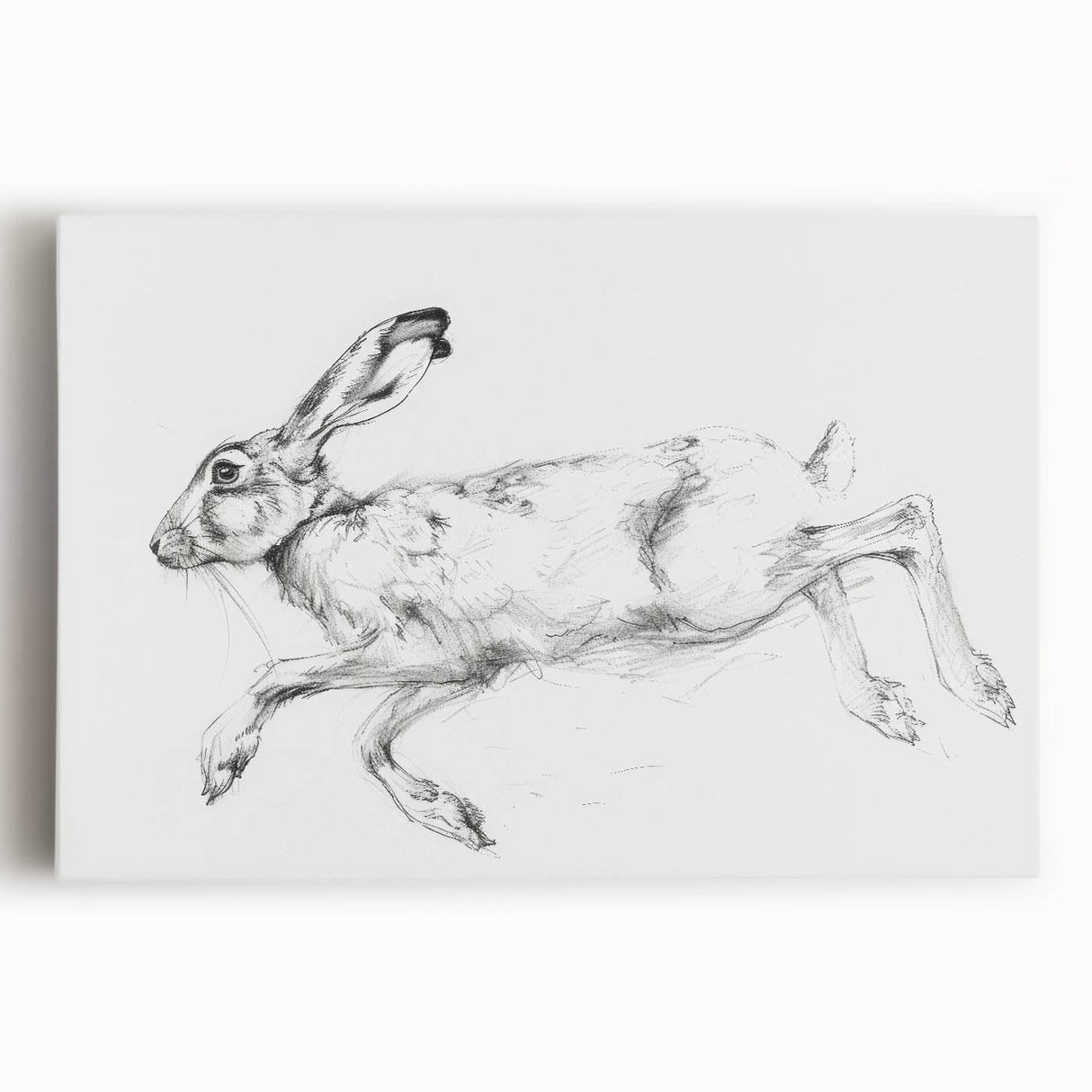Stretched canvas artwork showcasing a vibrant animal-themed design with rich colors and intricate details, perfect for home decor and wildlife enthusiasts.