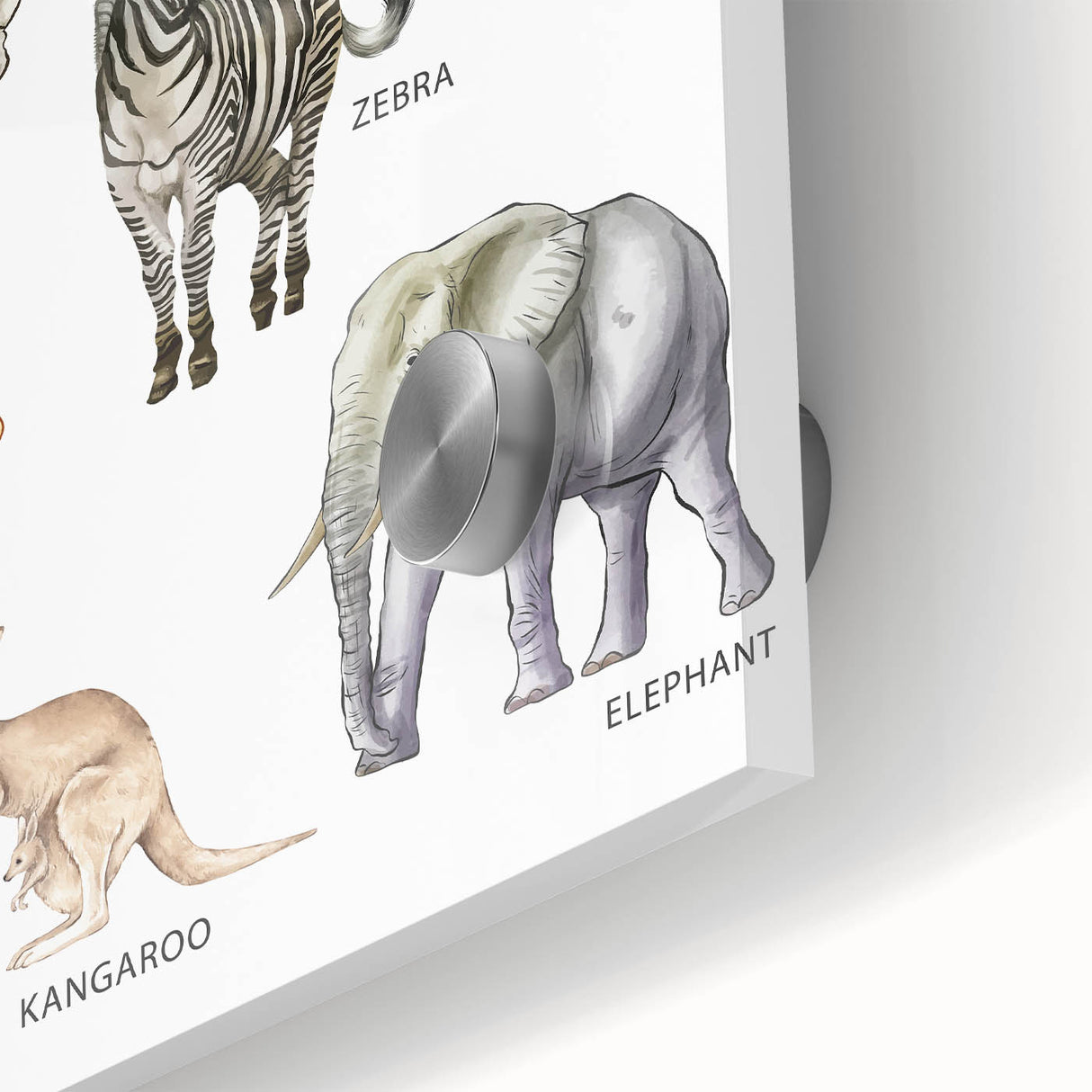 Herbivores Kids Educational Wall Art - Learning Poster for Classrooms