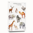 Herbivores Kids Educational Wall Art - Learning Poster for Classrooms