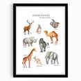Herbivores Kids Educational Wall Art - Learning Poster for Classrooms