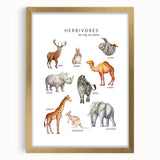 Herbivores Kids Educational Wall Art - Learning Poster for Classrooms