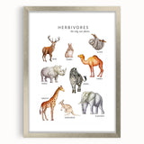 Herbivores Kids Educational Wall Art - Learning Poster for Classrooms