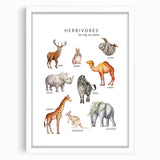 Herbivores Kids Educational Wall Art - Learning Poster for Classrooms