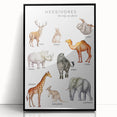 Herbivores Kids Educational Wall Art - Learning Poster for Classrooms