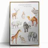 Herbivores Kids Educational Wall Art - Learning Poster for Classrooms