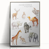 Herbivores Kids Educational Wall Art - Learning Poster for Classrooms
