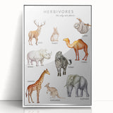 Herbivores Kids Educational Wall Art - Learning Poster for Classrooms
