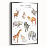 Herbivores Kids Educational Wall Art - Learning Poster for Classrooms