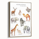 Herbivores Kids Educational Wall Art - Learning Poster for Classrooms
