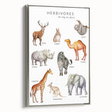 Herbivores Kids Educational Wall Art - Learning Poster for Classrooms